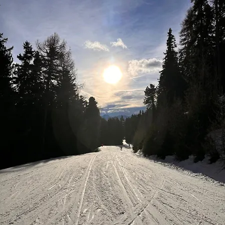 Premium Am Haidersee Und Reschensee - Haideralm Schoeneben *